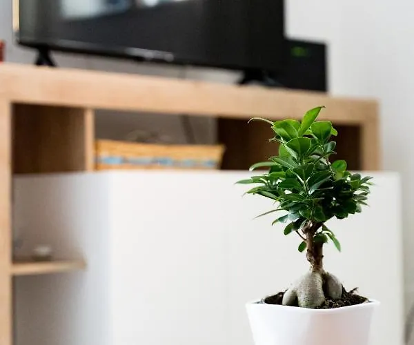 Spacious 3-bedroom With Courtyard In - Perfect For Families * テンピオ・パウザーニア